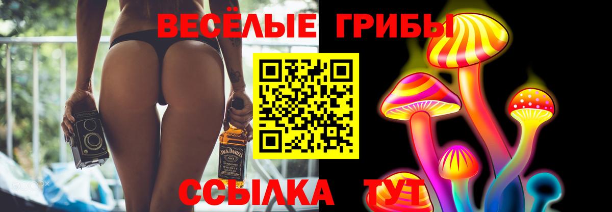 Псилоцибиновые грибы Cubensis Салехард